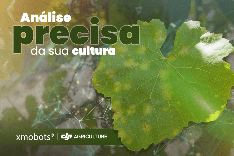 Hoja enferma con un análisis preciso de su cultura.