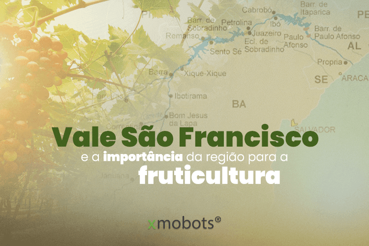Mapa com o escrito "Vale São Francisco e a importância da região para a fruticultura".