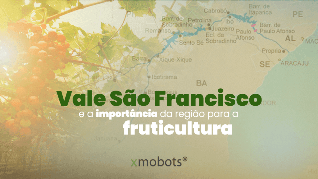 A importância do Vale São Francisco para fruticultura.