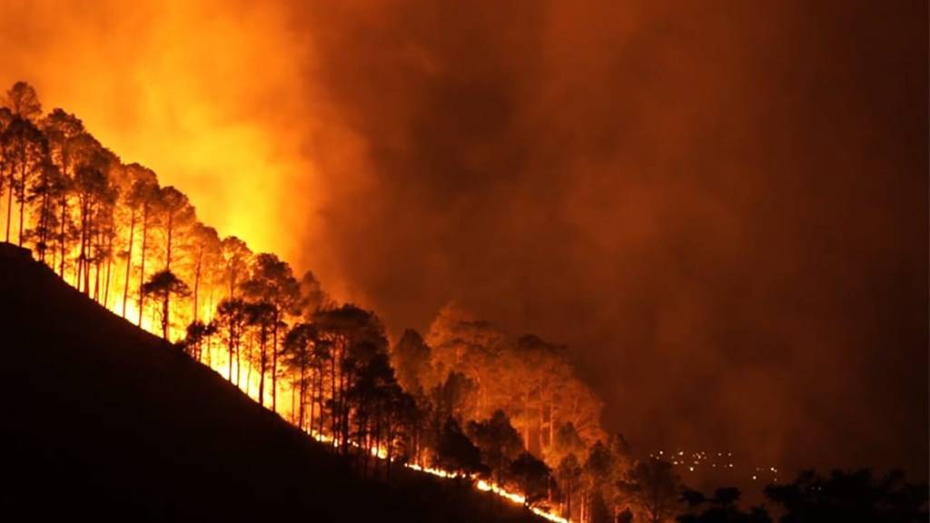 Queimadas florestais e o uso de drone para monitoramento.